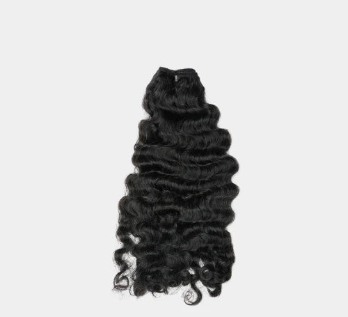 Burmese Curl